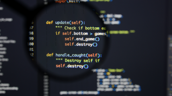 python Developer